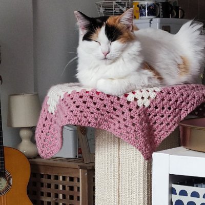 greywillfade's profile picture. 