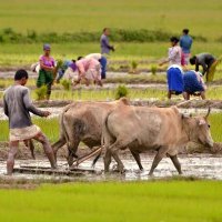অপূৰ্ব (@apu_on_wheel) 's Twitter Profile