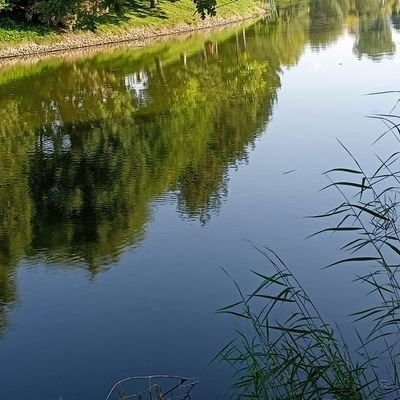 muharrem_hazir's profile picture. 