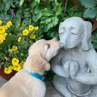Patrick Saunders (@psaundersdp) 's Twitter Profile Photo Patrick Saunders (@psaundersdp) 's Twitter Profile Photo