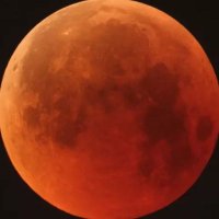 one true moon (@one_true_moon) 's Twitter Profile