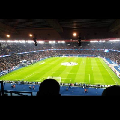 Gatinho060's profile picture. 