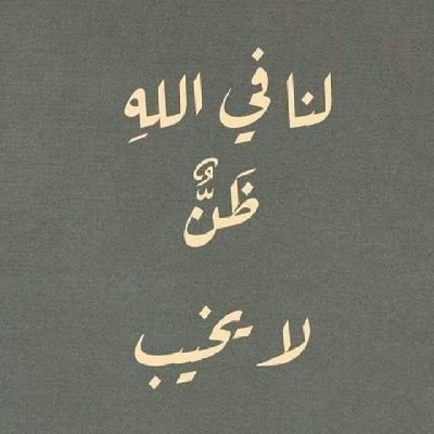 محمد راجحيさんのプロフィール画像