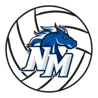 Lady Stallion Volleyball (@vb_stallion) 's Twitter Profile