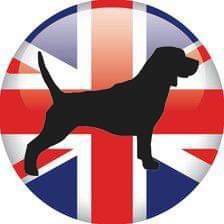 PaulKBUK's profile picture. Married to Elaine and owner of 2 rescue beagles. https://t.co/stfiSjsqRn