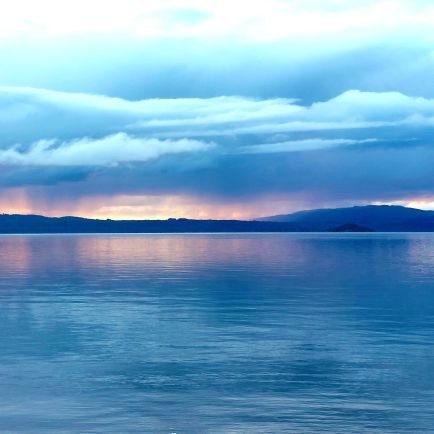 Pedrotemuquense's profile picture. Ing Comercial. MBA USM.
Temuquense de cuna y corazón / 🇨🇱 / Crítico del rumbo actual del país.
Leo non convertam cum canes latrant