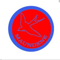 Maundene Primary(@MaundeneSchool) 's Twitter Profile Photo