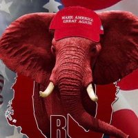 Billy Red🍊MAGA🦅Trump Won🇺🇸(@Red3691) 's Twitter Profile Photo