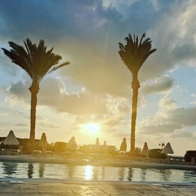 stuinz3's profile picture. 