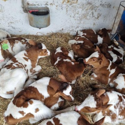 NfuwaM's profile picture. 