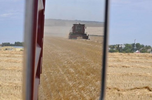 Grain Farmer,Fire Fighter,Dad of three great kids in Central Alberta