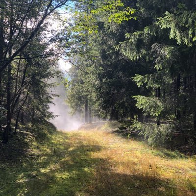 Zdena29100491's profile picture. Nemám ráda lež, podrazy, egoistické magory.