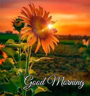 JKR67776202's profile picture. 