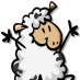 GoffstownYarn's profile picture. The Spotted Sheep Yarn Shoppe is now closed as of July 2016. Thanks to all of our customers for 5 unforgettable years.