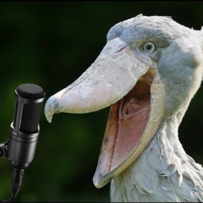 Funny shoebill voice actor does voices

26 | He/Him

No AI art/voices please.
https://t.co/K3GmiQXUER
https://t.co/u2Isdf4OPs