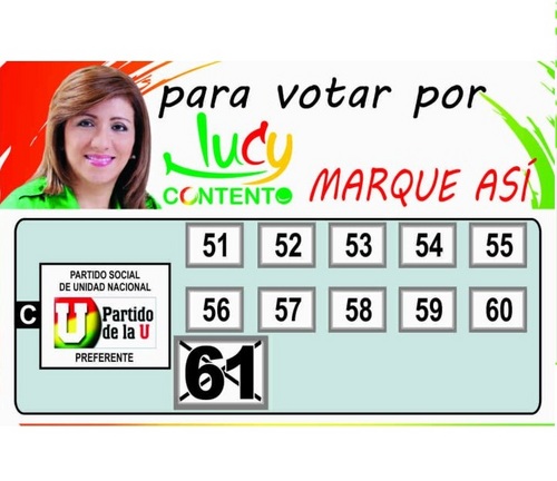 Abogada, Concejal de Villavicencio por el Partido de la U.