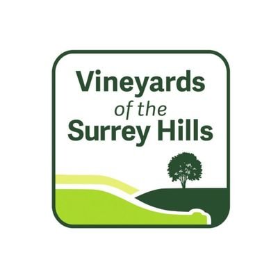 Outstanding wines, beautiful views & a warm welcome from @alburyvineyard @greyfriarsvine @denbiesvineyard @highclandon & @chilworthwines #surreyvineyards