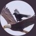 H.A.S (@km97021778) Twitter profile photo H.A.S (@km97021778) Twitter profile photo