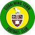 Godalming Town FC (@GodalmingTown) Twitter profile photo