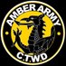 The Amber Army (@AmberArmyNCFC) Twitter profile photo