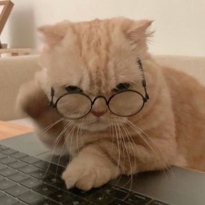 WFStretch's profile picture. Me trying to stave off boredom by talking to a plethora of abandoned accounts and following people more creative than me. My avatar photo is from @kapebeansies