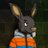 ZeroDollar0's profile image