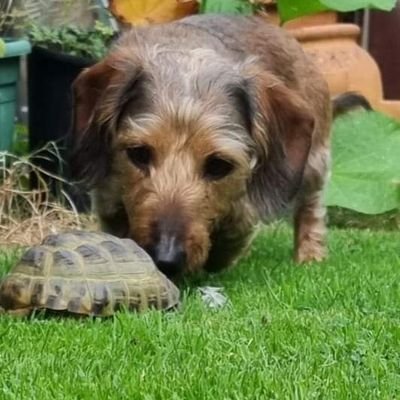 sam_j_watts's profile picture. The regrets I have are mine & I own them 😁 marfans & scoliosis plus a few more