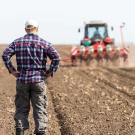 Da mete e da vatte 🌻🚜⛏️ (Oreste Il marchigiano) Profile