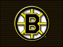 Computer geek Hockey nut.
