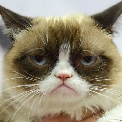 Floupy5's profile picture. Coucou