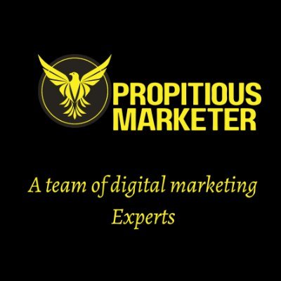 I am a professional Digital marketer with years of experience in Shopify marketing, Email marketing, Socialmedia marketing, https://t.co/FuH44riQ0e