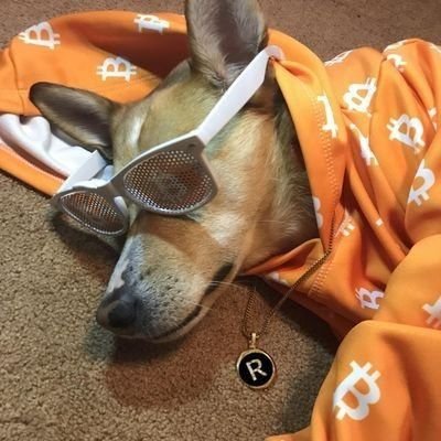 cryptosp2017's profile picture. Crypto trader since 2017.
... if you can't hold you will not be rich.
#Memes #Bitcoin
