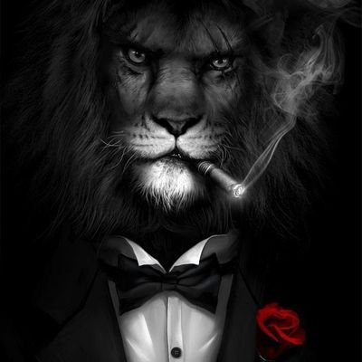 MoussaMDiallo11's profile picture. Madness