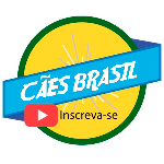 Visite nosso canal no Youtube Cães Brasil