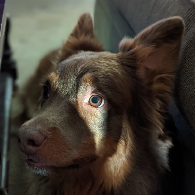 Benny_Jett_20's profile picture. Data