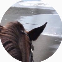 وضـحـه (@wdh_al) Twitter profile photo