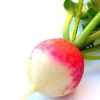 Rabano900's profile picture. 