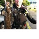 Stephen Whipple - @StephenWhipple - Twitter