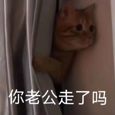 路过，看看