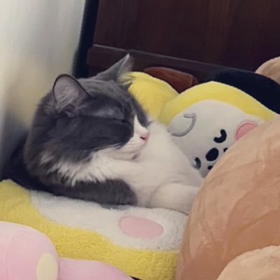 jen 💜 아포방포さんのプロフィール画像