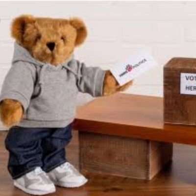 VotingbearNZ Profile Picture