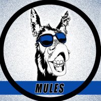 Mules(@IsuMules) 's Twitter Profile Photo