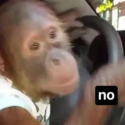 FidelBarraza3's profile picture. https://t.co/zoxTV52RNF