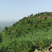 عبده الجليل الشواف (@alshwafbdh) 's Twitter Profile