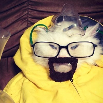 AliGx25's profile picture. حسابي الثاني على تويتر الحساب الاول مالتي راح من وره توتر الغبي بس راح استمر غصبا عنهم