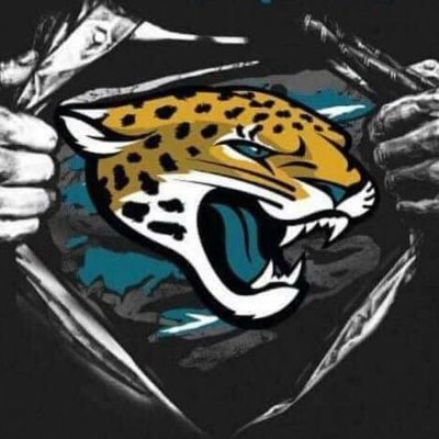 Canadian jaguars fan 🐆🏈 lover of all animals 🐾 twitch streamer