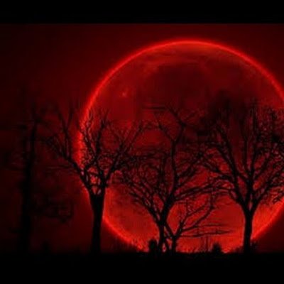 INFRAROJO6's profile picture. 