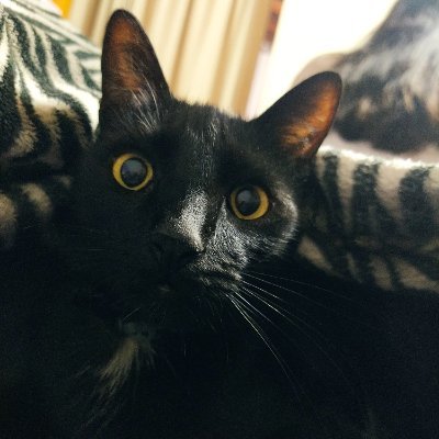 EdithPe24276951's profile picture. Yo estaré con ustedes todos los días, hasta el fin del mundo🌟 #Provida💙































             Hija de Dios♥️