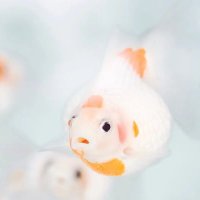 間沢真知子 (@housmanadair) 's Twitter Profile Photo 間沢真知子 (@housmanadair) 's Twitter Profile Photo