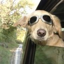 David R Haws - @DavidHawsUtah - Twitter